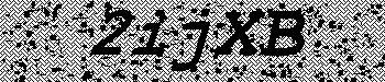 An error has occurred while getting captcha image
