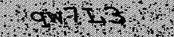 An error has occurred while getting captcha image